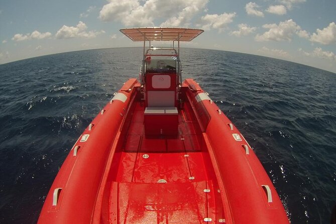 2-Hour Mykonos Private Sea Safari and Snorkeling on a Powerboat - Price and Value: What $1,089.07 Means for a Group