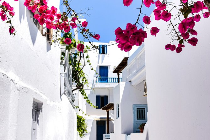 2 Hours Feel Like A Local Walking Tour in Mykonos Town - Kato Milli windmills: your first 30 minutes should be about the view