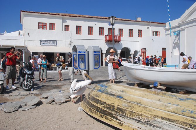 City & Island Tour - Price and value: is $60.15 a smart use of your half day?