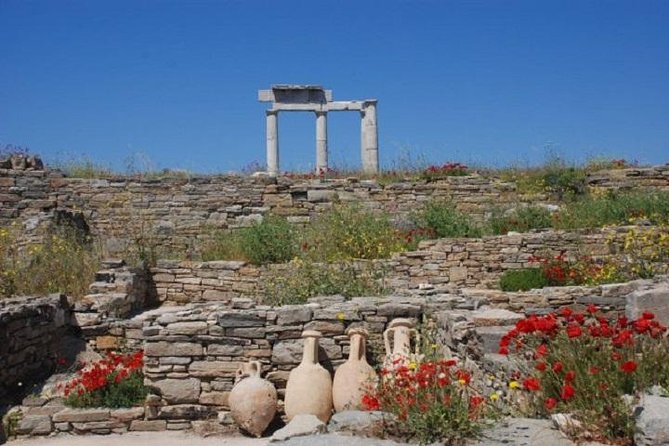 Delos Tour from Mykonos - Weather, Shade, and Comfort: What Can Make or Break the Day