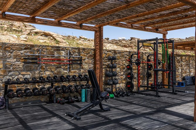 Exclusive Wellness Day Experience in Mykonos - Recovery Therapy: Hot Tub, Cold Plunge, Ice Bath, and Compression