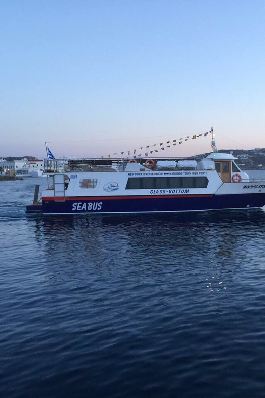 Explore Delos & Rhenia - What to Watch For: Delos Fees, Sea Conditions, and Packing Smart