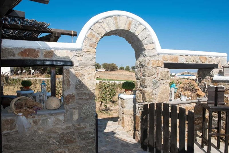 From Mykonos: Ano Mera Farm Tour - Should you book the Ano Mera Farm Tour?