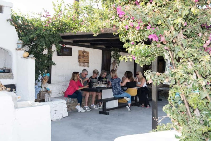 From Mykonos: Ano Mera Farm Tour - Price and value: what $51 actually buys you