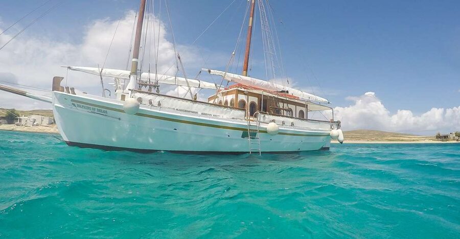 From Mykonos: Delos & Rhenia Islands Half-Day Trip by Boat - Key Things to Know Before You Go