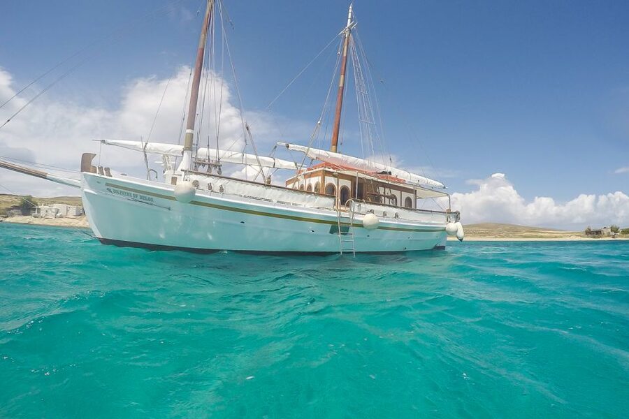 From Mykonos: Delos & Rhenia Islands Half-Day Trip by Boat - The Big Idea: Two Islands, One Easy Mykonos Day