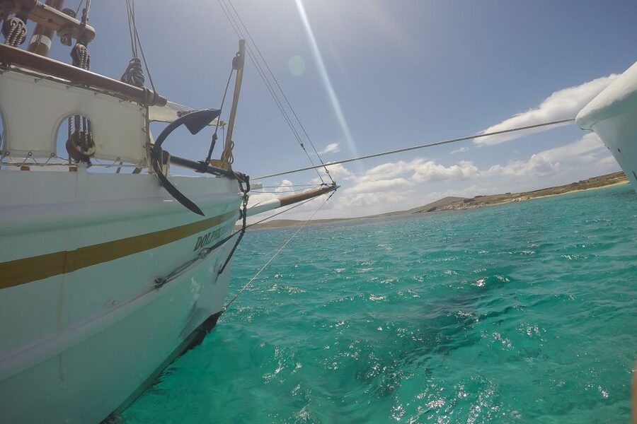 From Mykonos: Delos & Rhenia Islands Half-Day Trip by Boat - Price and Value: Is $101 a Good Deal for Delos and Rhenia?