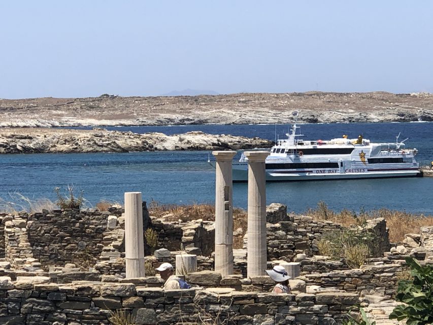 From Naxos: Delos and Mykonos Day Trip with Licensed Guide - The Avenue of the Marble Lions and the residential mosaics