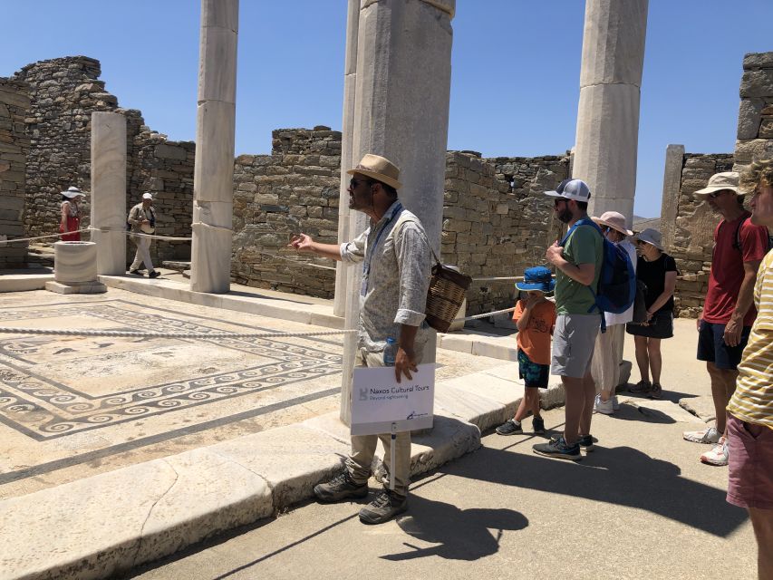 From Naxos: Delos and Mykonos Day Trip with Licensed Guide - Price and what you’re really paying for ($234)