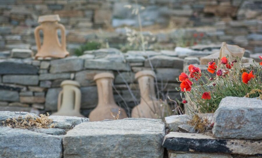 From Naxos: Delos and Mykonos Day Trip with Licensed Guide - Who this day trip suits best (and who should skip it)