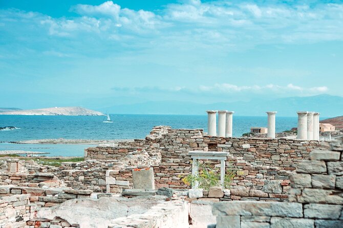 Full-Day Delos and Rhenia Island Cruise from Mykonos - Who Should Book (and Who Should Think Twice)