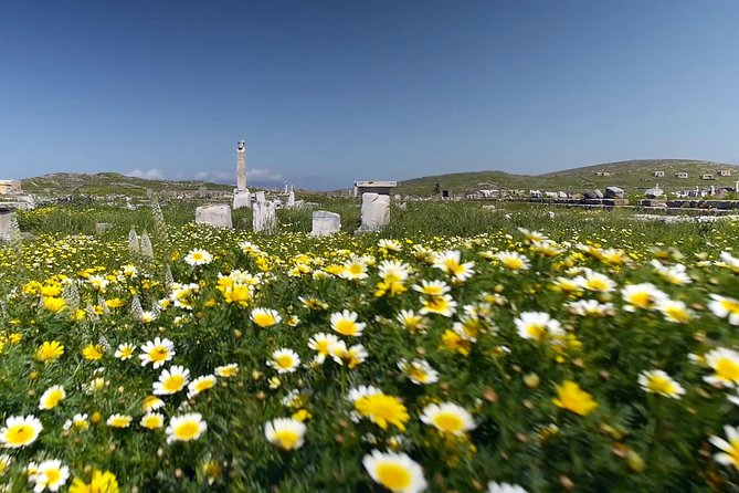 Half-Day Delos Tour from Mykonos - Theatre, Cistern, and the Civic Spine of the Hellenistic City