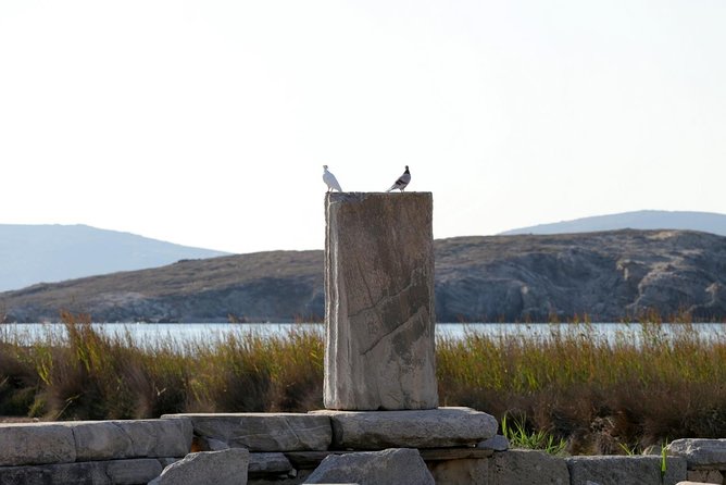 Half-Day Delos Tour from Mykonos - Stoa of Philippe, Propylaia, Colossus of the Naxians, and Apollo’s Temples