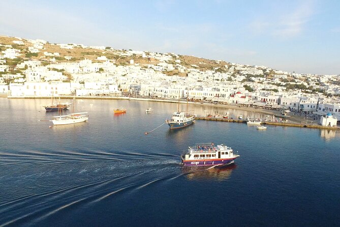 Half Day Delos Tour of Mykonos from the Cruise Ship Port - The Sanctuary Zone: Stoa of Phillipe, Propylaia, Colossus of the Naxians, Temple of Apollo