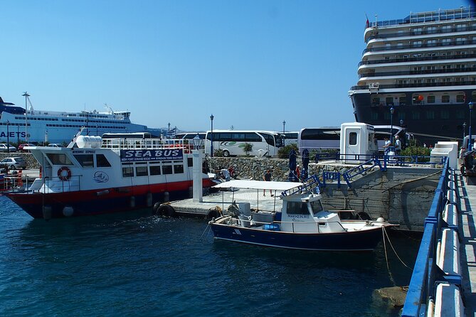 Half Day Delos Tour of Mykonos from the Cruise Ship Port - Price and Value: What $78.19 Covers, Plus the €20 Cash Entry Fee