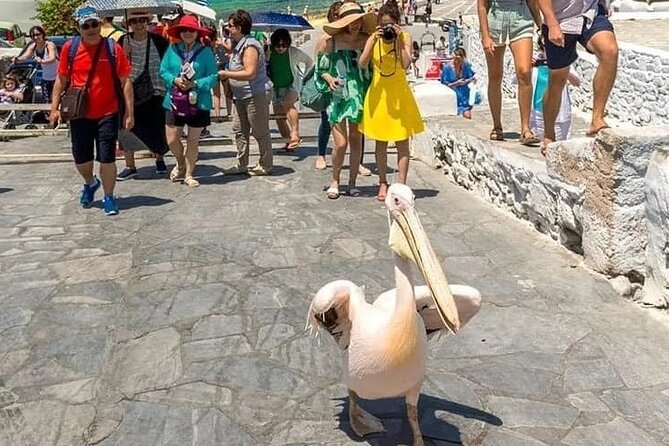 Half-Day Private Guided Tour in Mykonos up to 6 - Beach Time South of Town: Kalo Livadi, Then Paradise or Agrari