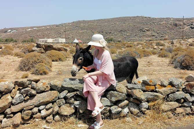 Half-Day Private Guided Tour in Mykonos up to 6 - What You Really Get for $345 Per Person