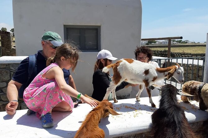 Mykonian Farm Experience - Why This Late-Afternoon Farm Visit Works on Mykonos