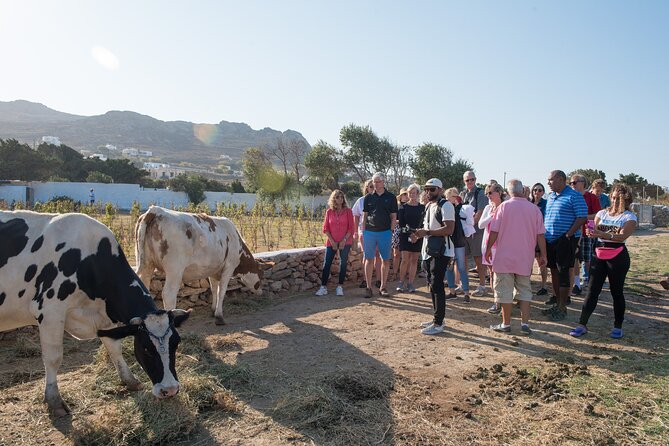 Mykonian Farm Experience - Your Farm Tour (30–45 Minutes): What You’re Actually There For