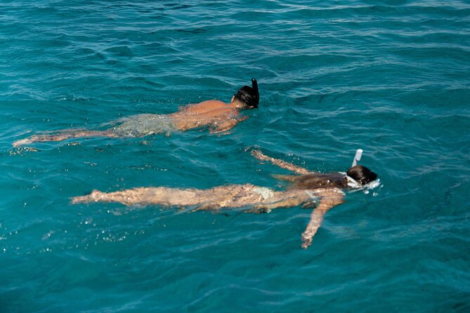 Mykonos: Brand-New Catamaran Cruise with Meal, Drinks & Transport - The Aerial vs White Coral catamarans: space you can feel