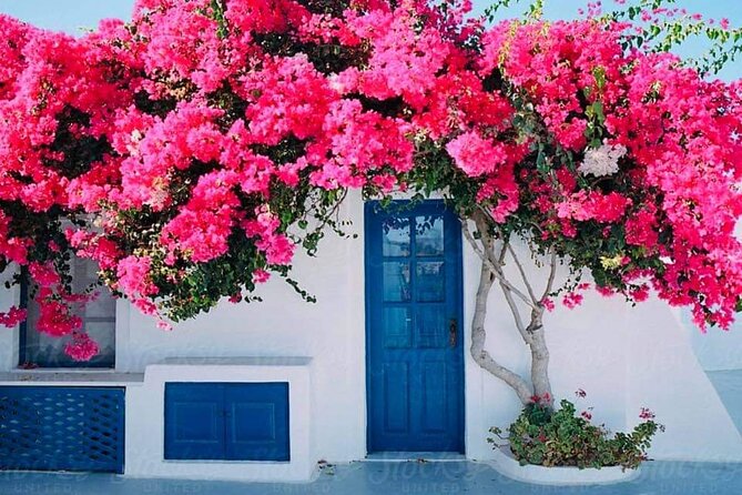 Mykonos Coastal Delights: A Cruise Passenger's Dream Day - Guides, Understanding, and What the Day Feels Like in Real Life
