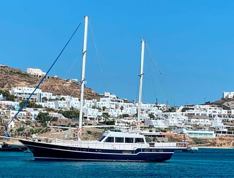 Mykonos: Delos and Rhenia Islands Cruise with BBQ Meal - Key Highlights Worth Booking