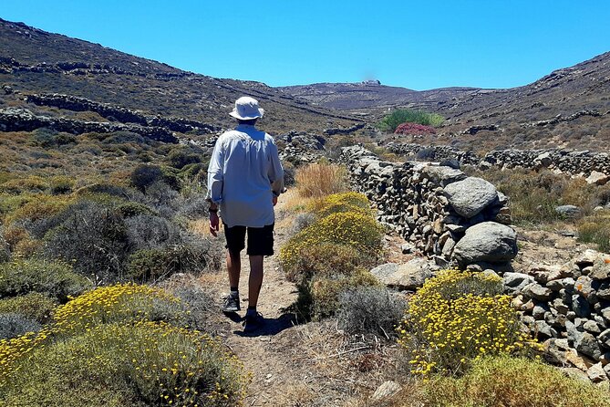 Mykonos Half-Day Hiking Adventure - Pace, group size, and what “easy for all ages” really means