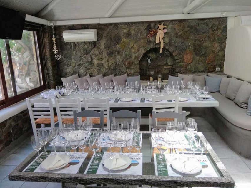 Mykonos: Half-Day Wine Tasting and Snack at a Local House - Meet Mr. Stathis Pasoglou: How the Course Stays Friendly