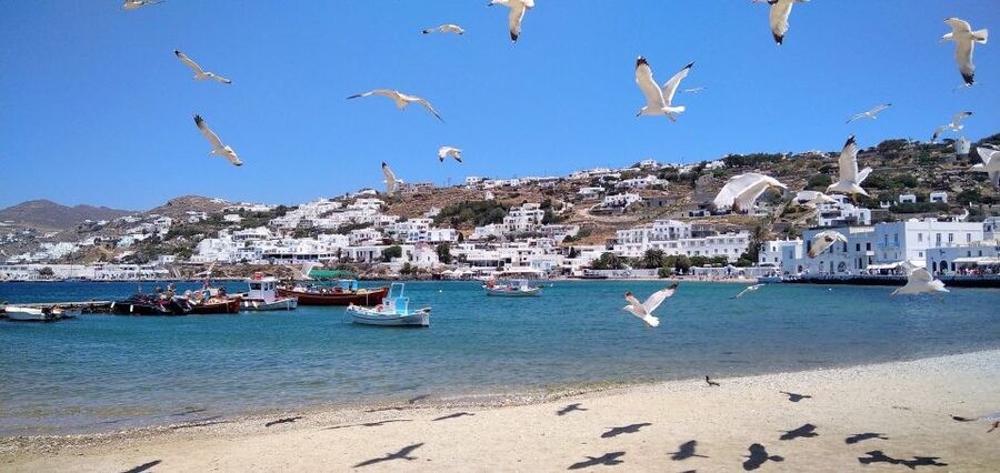 Mykonos: Highlights Tour with Panagia Tourliani Monastery - Price and Value for 4.5 Hours of Mykonos