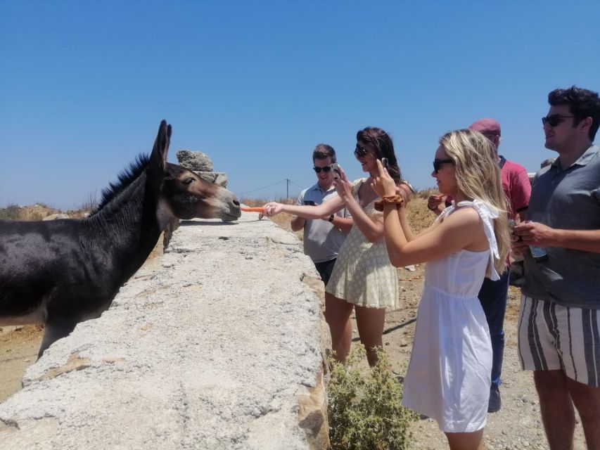 Mykonos: Highlights Tour with Panagia Tourliani Monastery - Getting Your Bearings in Mykonos Town: Windmills, Little Venice, Paraportianni