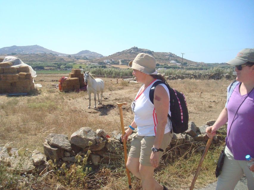Mykonos Hiking Adventure - The Mirsinis Beach swim: the moment you’ll remember