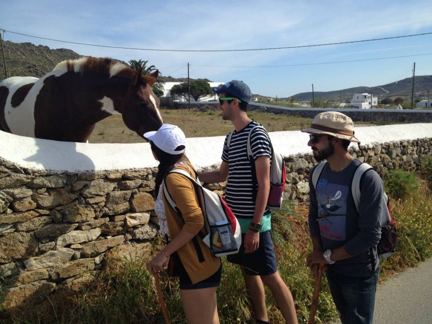 Mykonos Hiking Adventure - Group vibe and guide quality: the human side matters