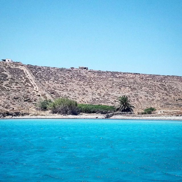 Mykonos: Private Delos and Rhenia 6hrs Cruise with Lunch - A Six-Hour Private Yacht Day for Delos and Rhenia