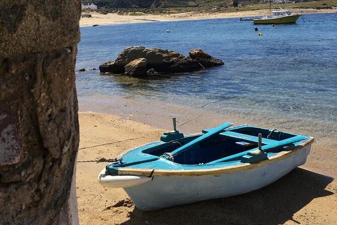 Mykonos Safari Island Tour - According To The Locals - Who Should Book This Tour (and Who Might Skip It)