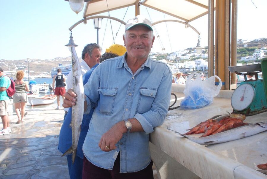Mykonos Shore Excursion: City & Island Tour - Price and value for a private group up to 2