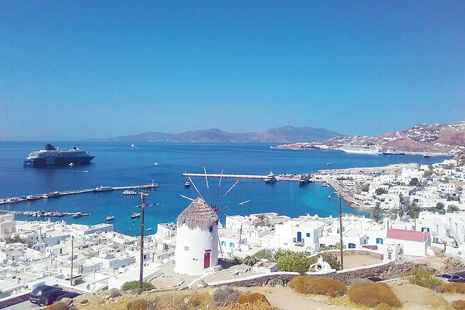 Mykonos Shore Excursion with Pickup from Cruise Ship Terminal - Who should book this Mykonos shore excursion?