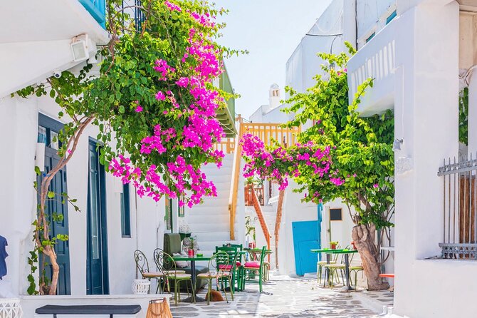Mykonos Small Group Tour for Cruise Passengers — Port Pickup - Should you book it?