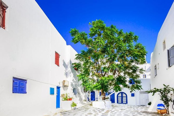 Mykonos Town and Island Half-Day Tour - Agios Ioannis Beach: a second coastline view aimed at variety