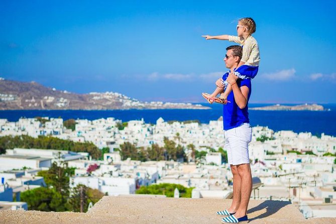 Mykonos Town and Island Half-Day Tour - The bus legs, the viewpoint pause, and keeping your day on track
