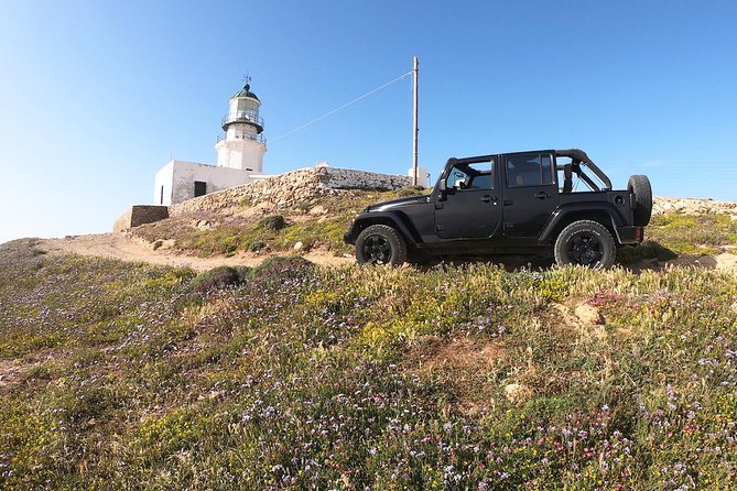 Mykonos Wild Experience Tour - Ano Mera village and Panagia Tourliani: Cycladic life in the center of Mykonos