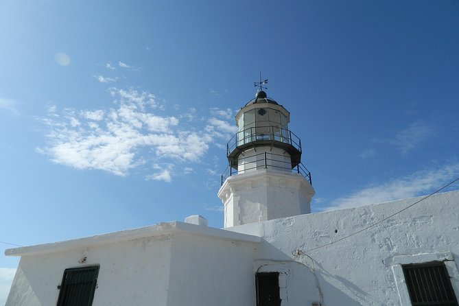 Mykonos Wild Experience Tour - Price and what you really get for about $229.78
