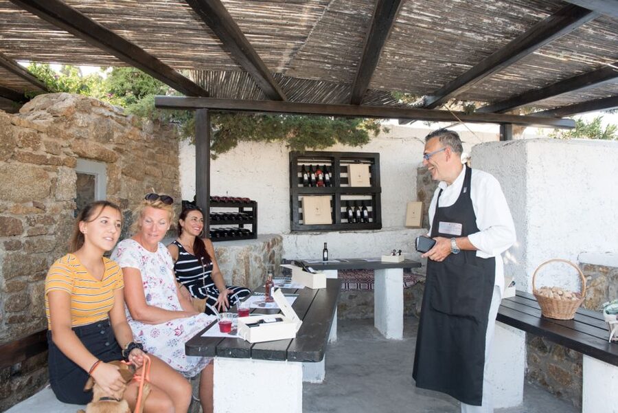 Mykonos: Wine Tasting at a Mykonian Farm - The drive inland: from Hora toward Ano Mera