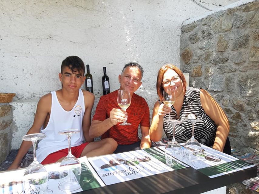 Mykonos: Wine Tasting at a Mykonian Farm - The tasting rhythm: learning basic wine skills as you go