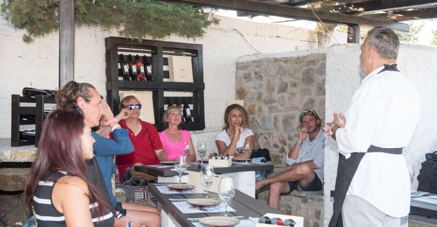 Mykonos: Wine Tasting at a Mykonian Farm - The wines: four hand-picked Greek bottles, with a story for each