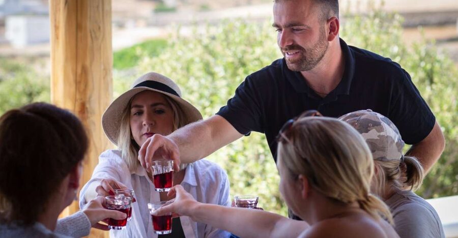 Mykonos: Winery Vineyard Experience with Food & Wine Tasting - What you’ll actually eat and drink (and why the pairing works)