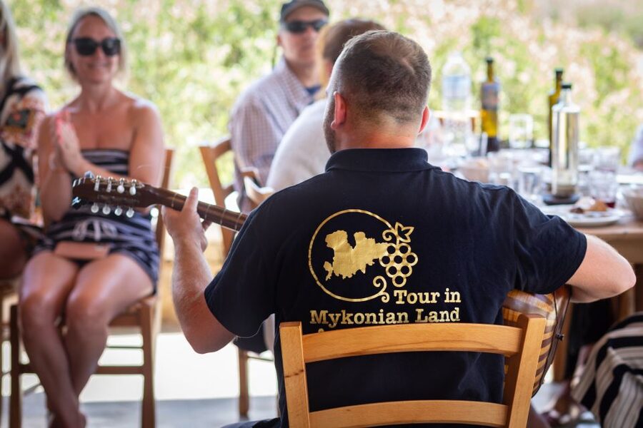 Mykonos: Winery Vineyard Experience with Food & Wine Tasting - Family-run hosting (including owner Gerasimos) changes the whole vibe