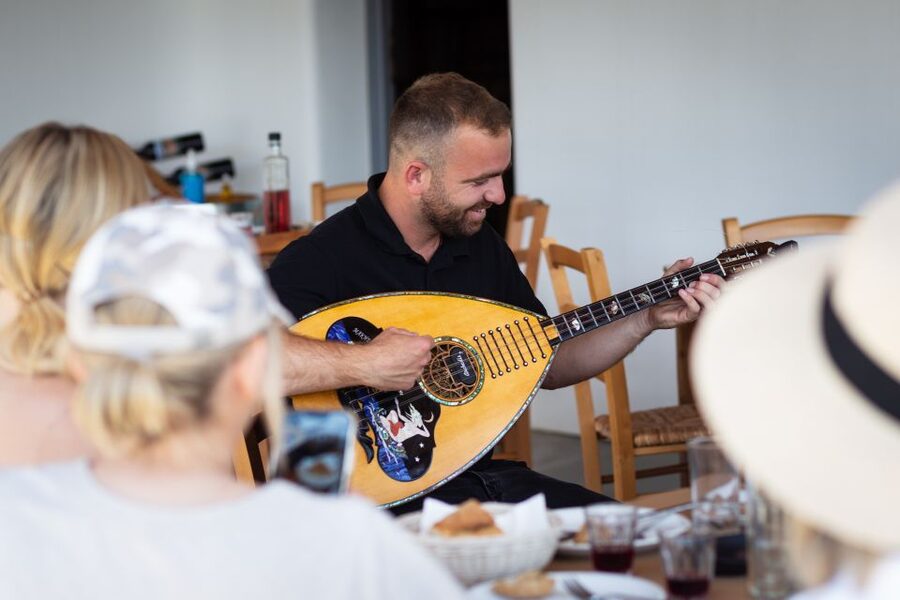Mykonos: Winery Vineyard Experience with Food & Wine Tasting - Price and value: what $80 buys in real terms