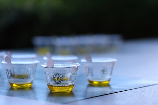 Olive Oil Tasting at the Mykonian Farm - Group Size and Timing: Why 15 People Feels Right