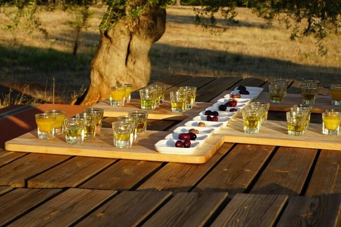 Olive Oil Tasting at the Mykonian Farm - Who This Tasting Is For (and Who Might Not Love It)