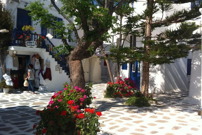 Panoramic and Tasting Private Tour - Stop 2: Mykonos Brewing Company craft beer tour and tastings